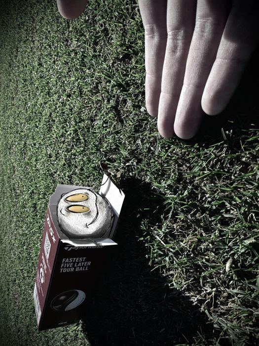 Ball in a Box