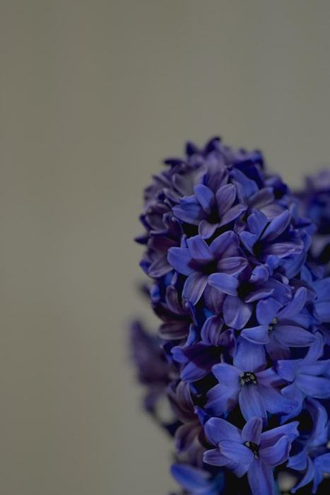 Composition, semplifica la scena