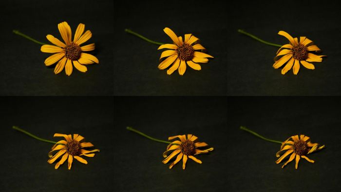 Time Lapse and Long Exposure, time lapse