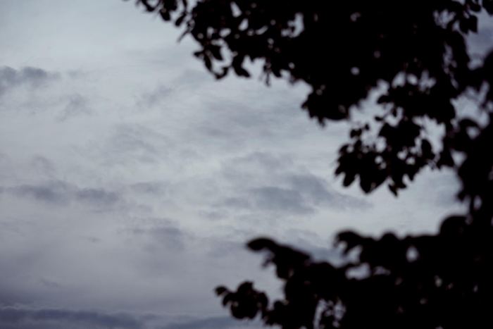 Weather