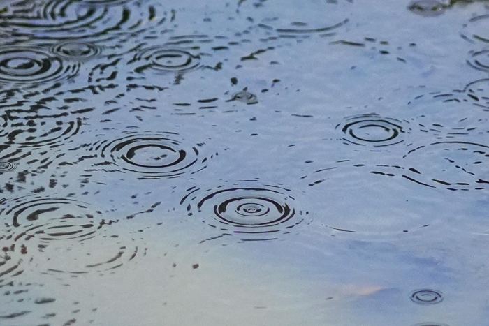 Weather