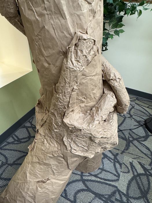 Cardboard Collaboration: Regret, vista v
