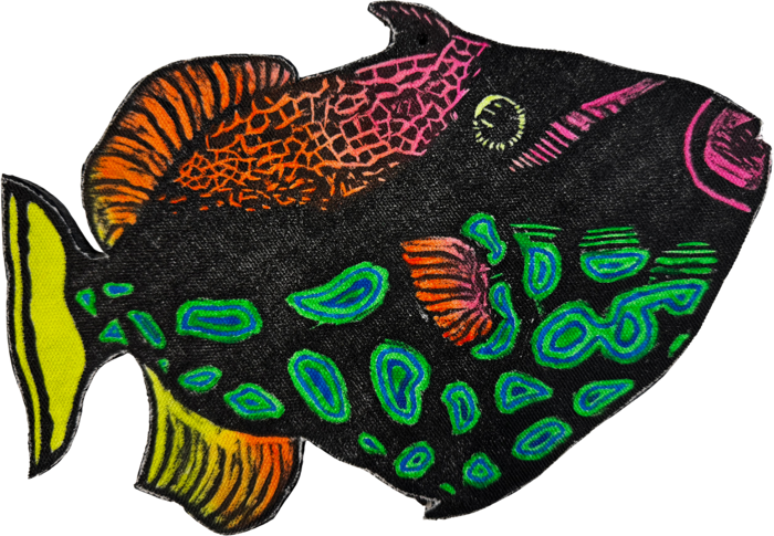 Great Barrier Reef, jeff