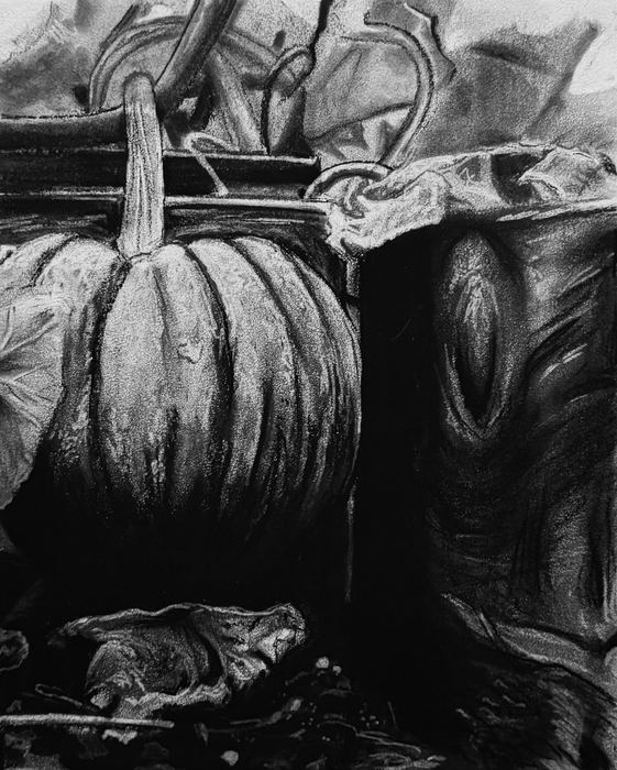 Workshop, charcoal workshop 2