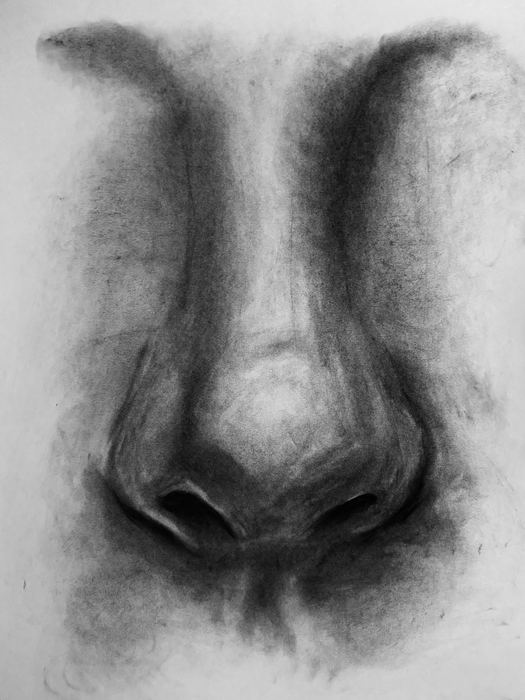 Anatomia del volto, nose workshop