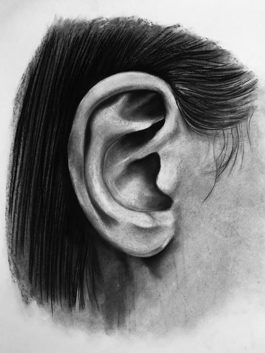 Anatomia del volto, ear workshop