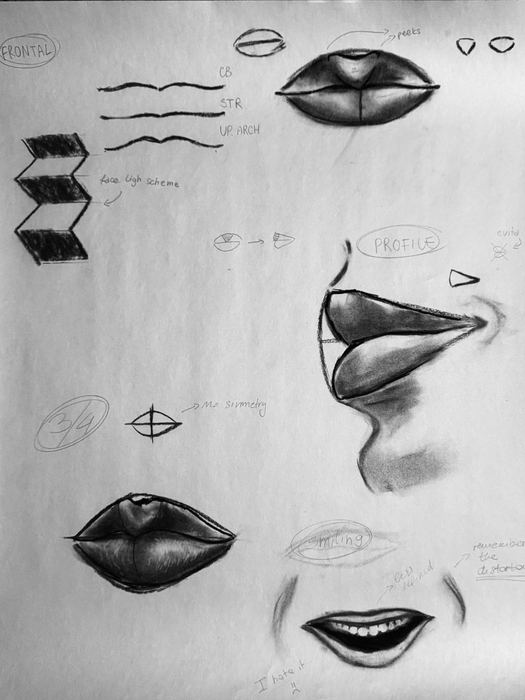 Anatomia del volto, studi della bocca